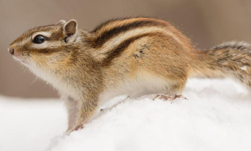 福州欣景园环境设备有限公司轮播图3